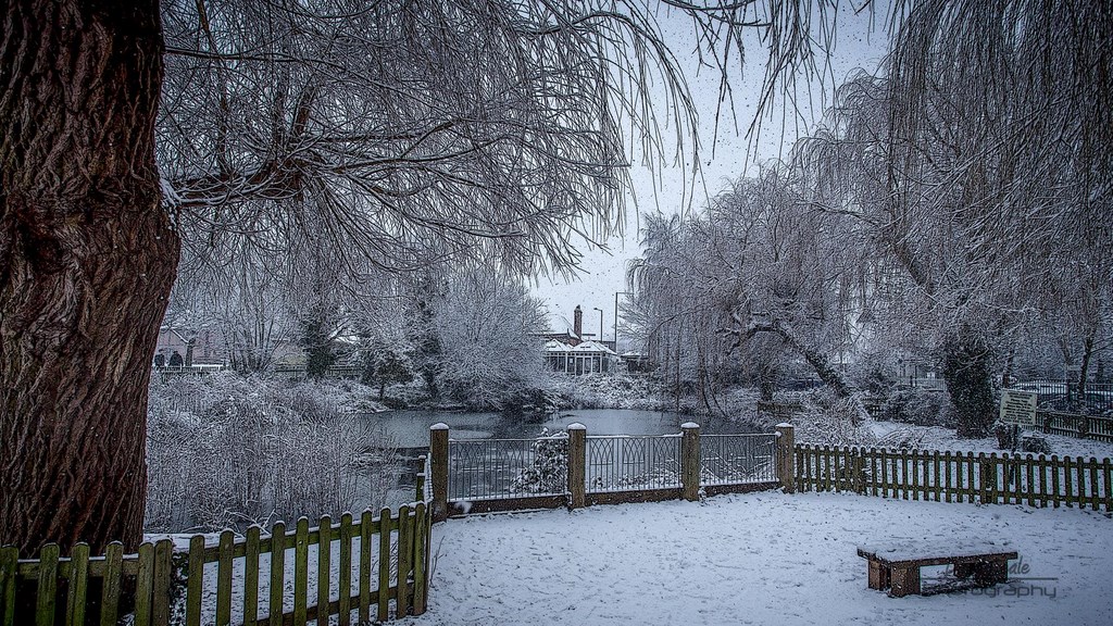 Snow At The Duck Pond Ruislip 2020