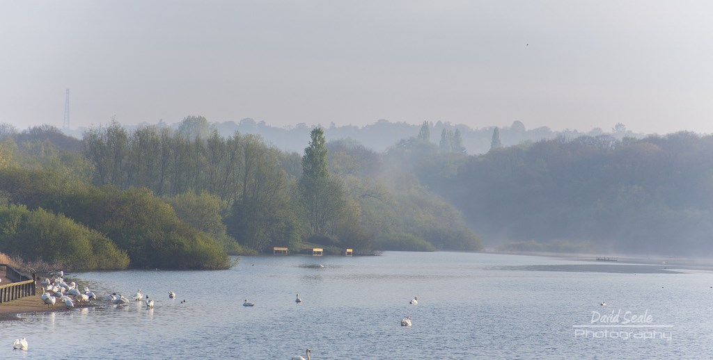 Mist Over Ruislip Lido