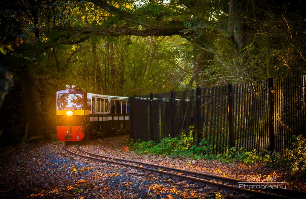The Train At Ruislip Lido