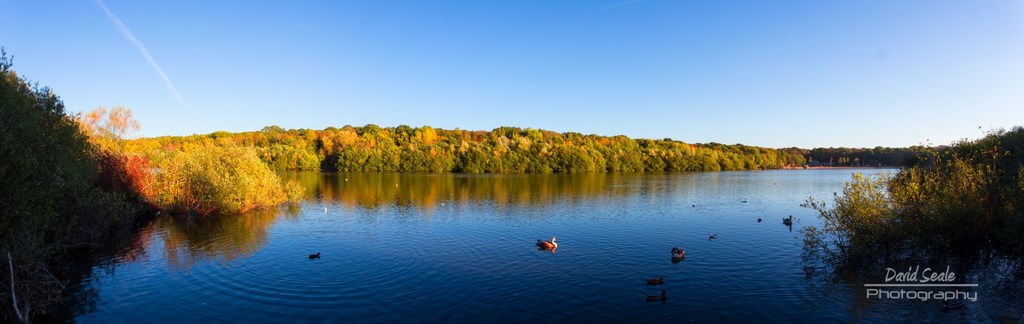 Ruislip Lido Panorama