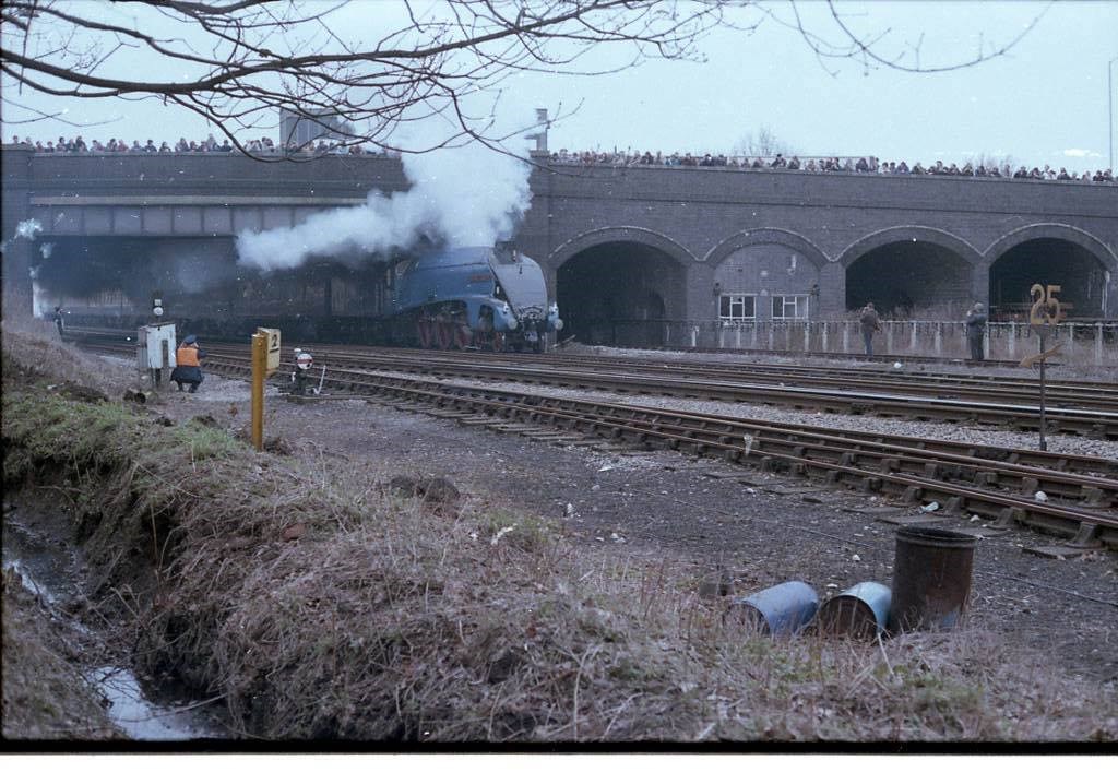 The Bridge At West Ruislip Station