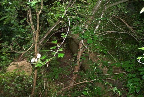 The Ruislip Lido Canal Feeder Aqueduct 4