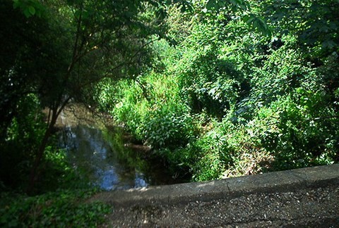 The Ruislip Lido Canal Feeder Aqueduct 9